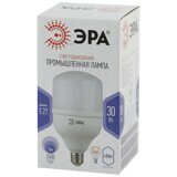 Лампа светодиодная ЭРА 30W E27 6500k хол.бел. LED POWER T100-30W-6500-E27